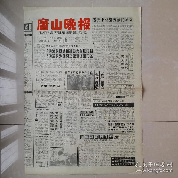 报纸