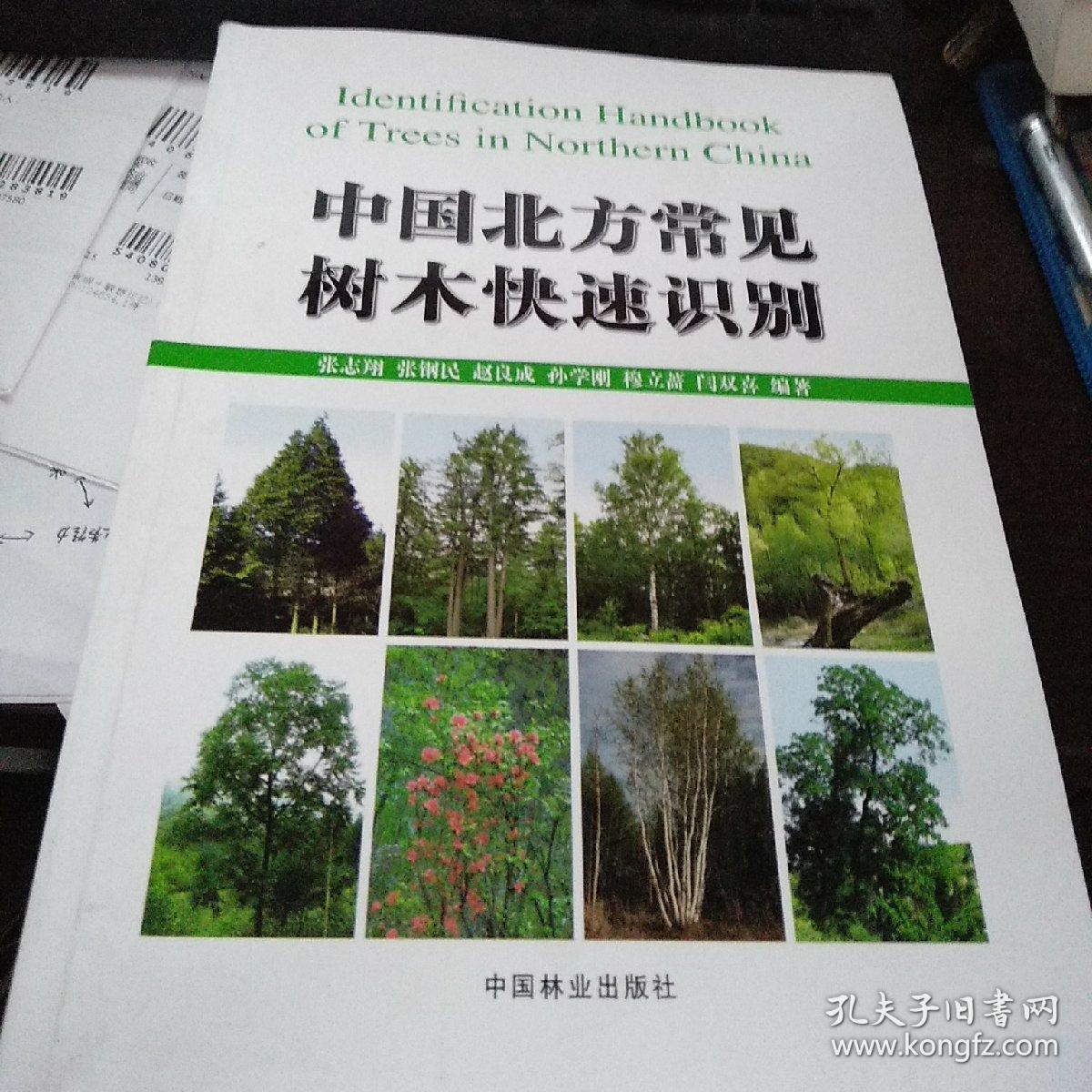 中国北方常见树木快速识别