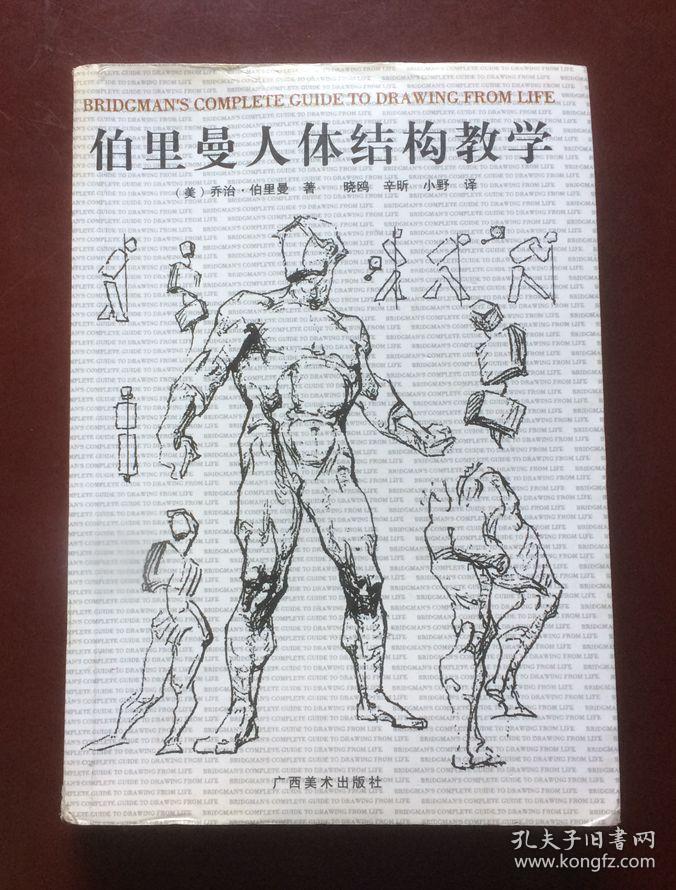 伯里曼人体结构教学