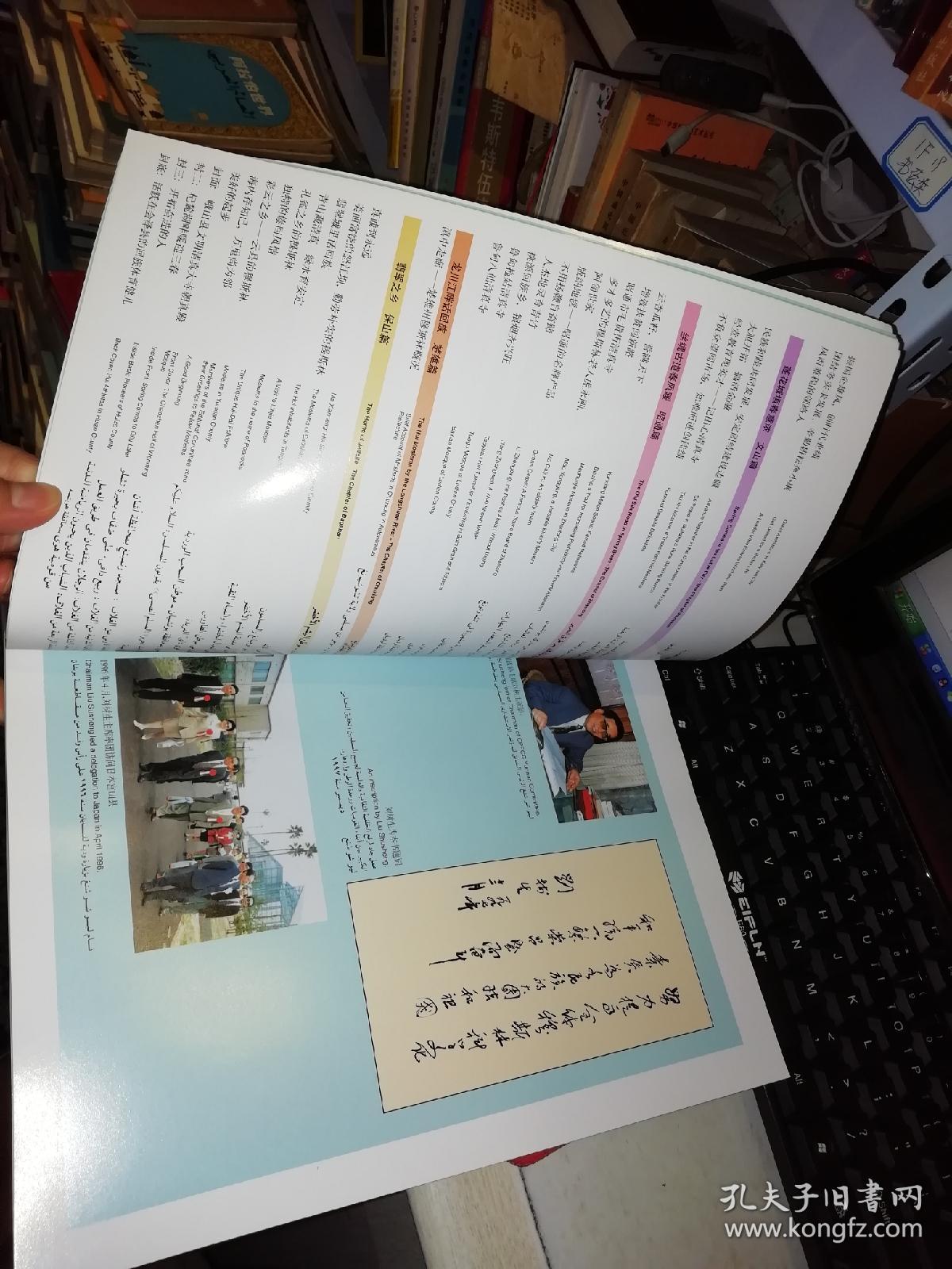 【1998年 一版一印 原版书籍】 【大16开 铜版纸彩色精美印刷】作者