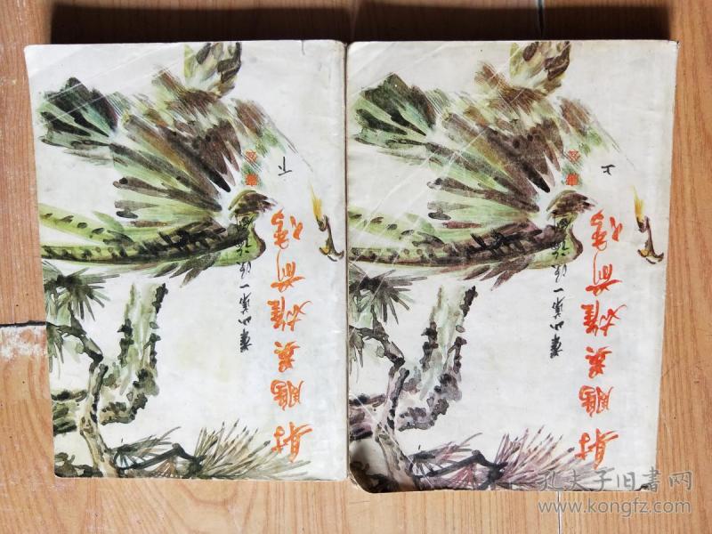 射雕英雄前传(上下全)