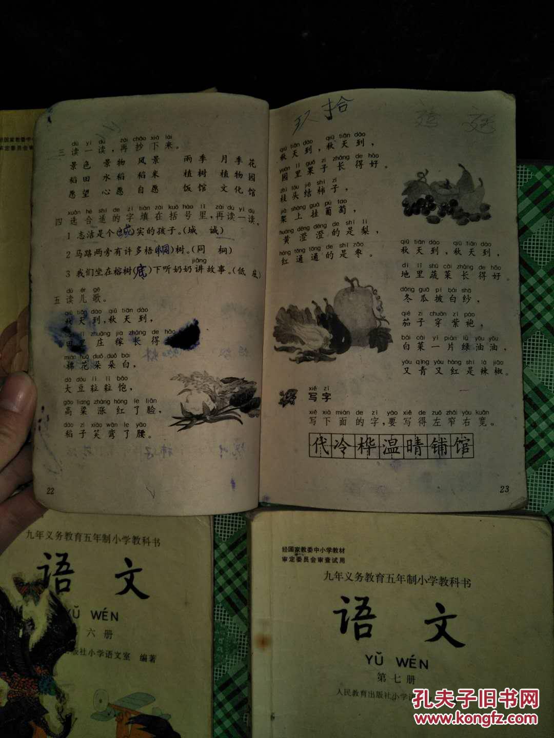 90年代五年制小学语文课本 全套10本 3333