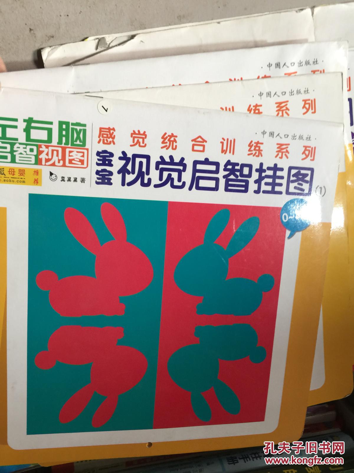 【图】感觉统合训练系列:宝宝视觉启智挂图(1
