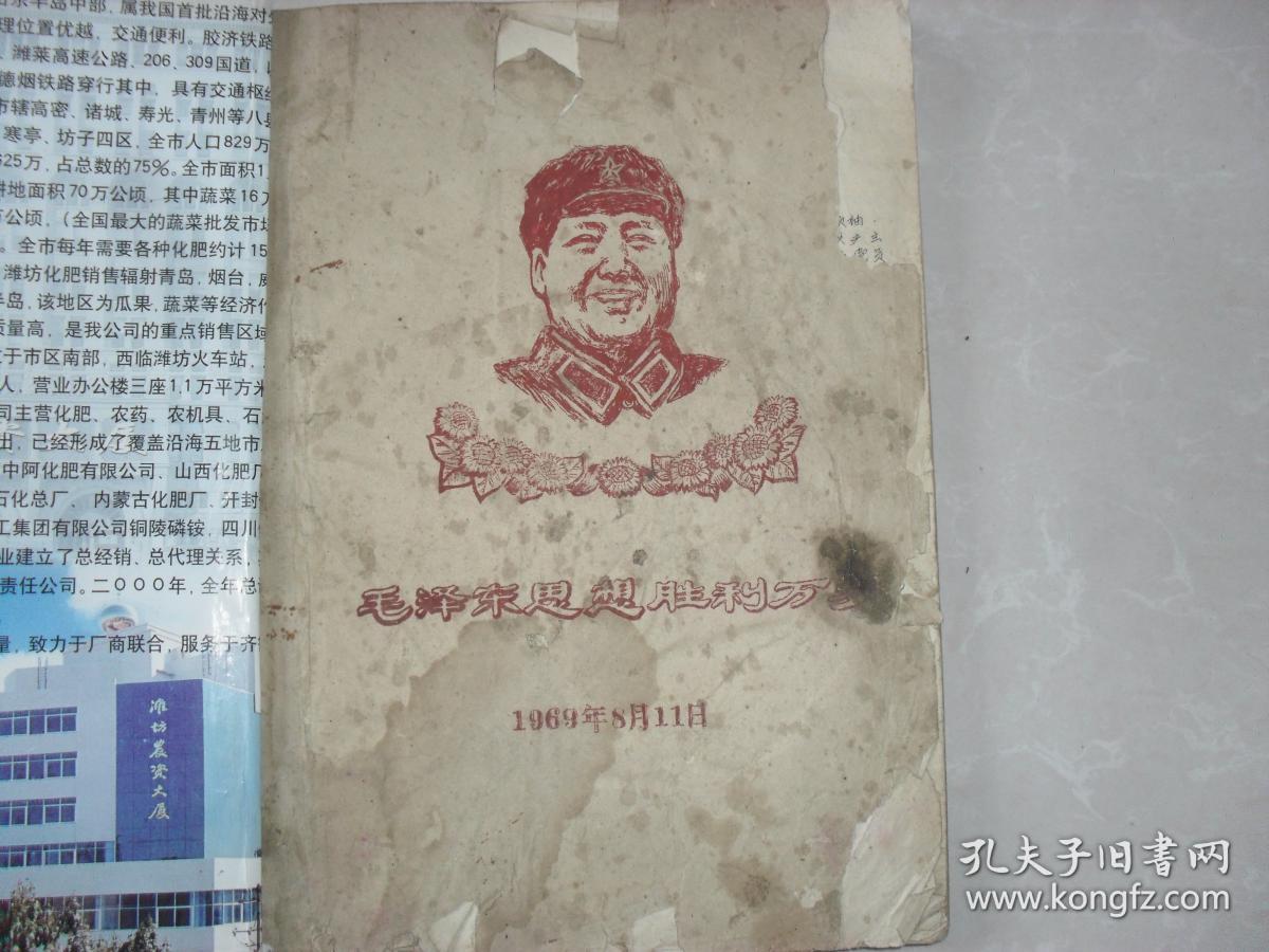 中国共产党历次重要会议记录,文化大革命的必