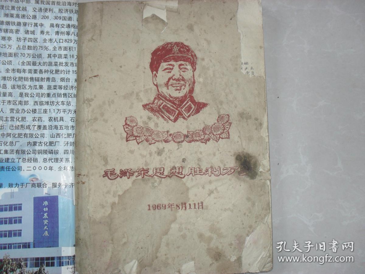 中国共产党历次重要会议记录,文化大革命的必