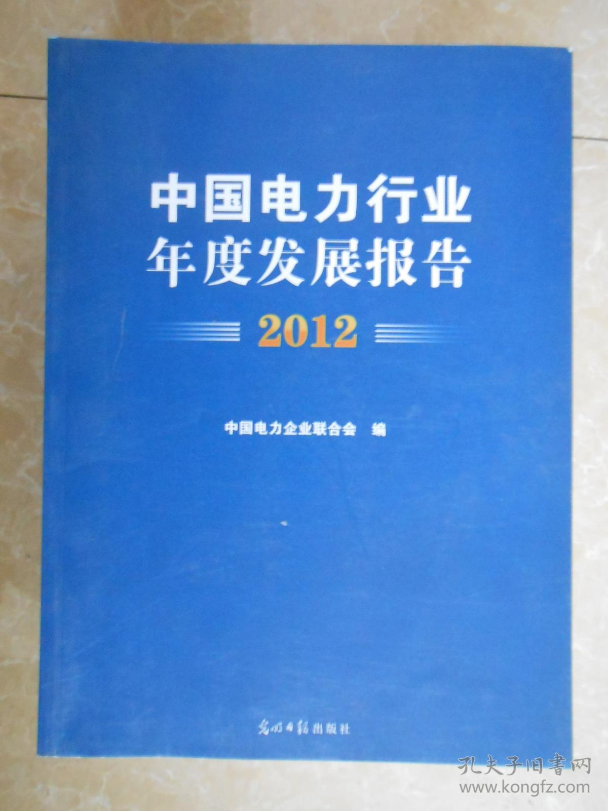 中国电力行业年度发展报告.2012