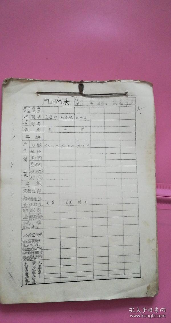 村人口登记表格_岚谷村 村务公开 2015年6月份岚谷村出生人员登记表(2)