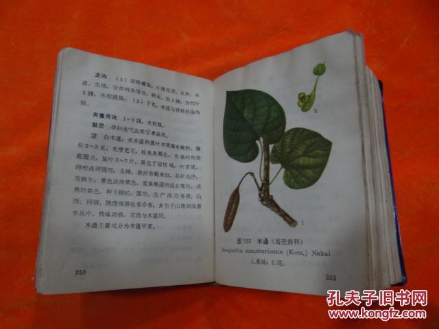 北方常用中草药手册 彩色插图