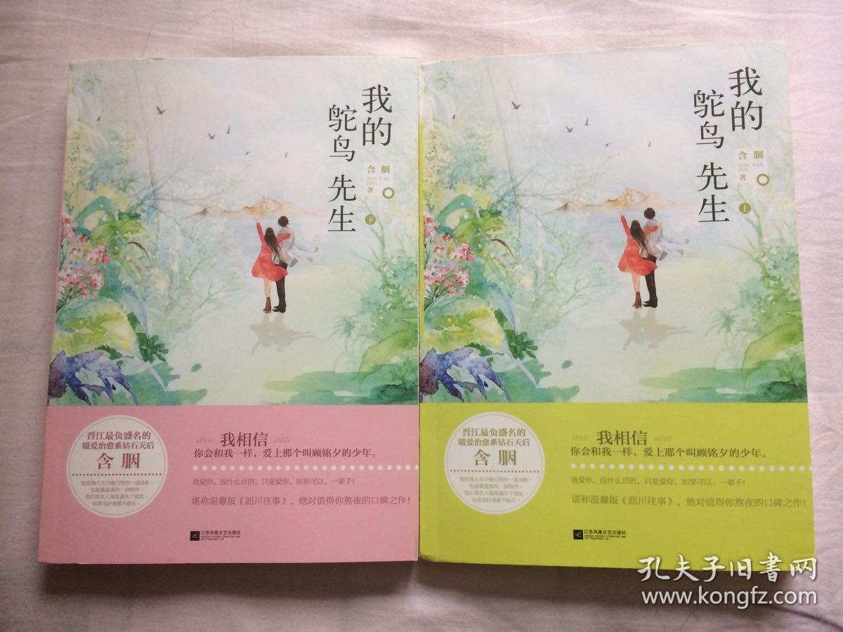 我的鸵鸟先生