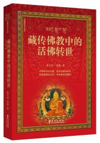 西藏视点丛书：藏传佛教中的活佛转世