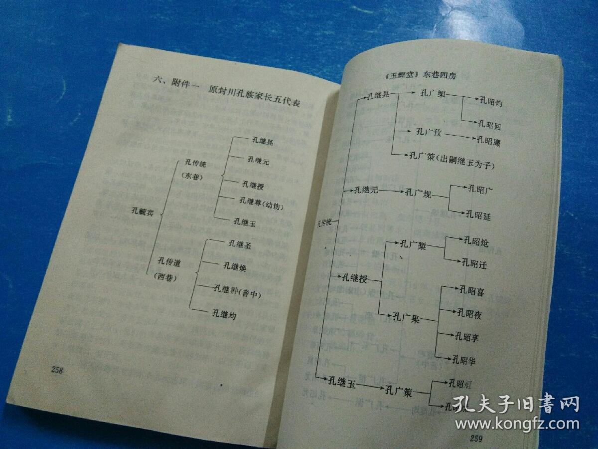 孔氏家谱孔姓资料族谱无价宝书