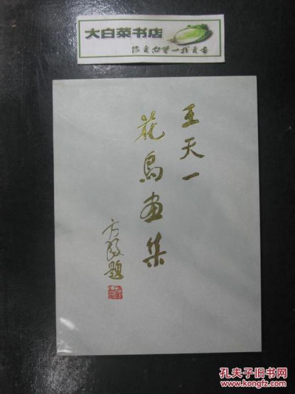 王天一简谱_王天一画