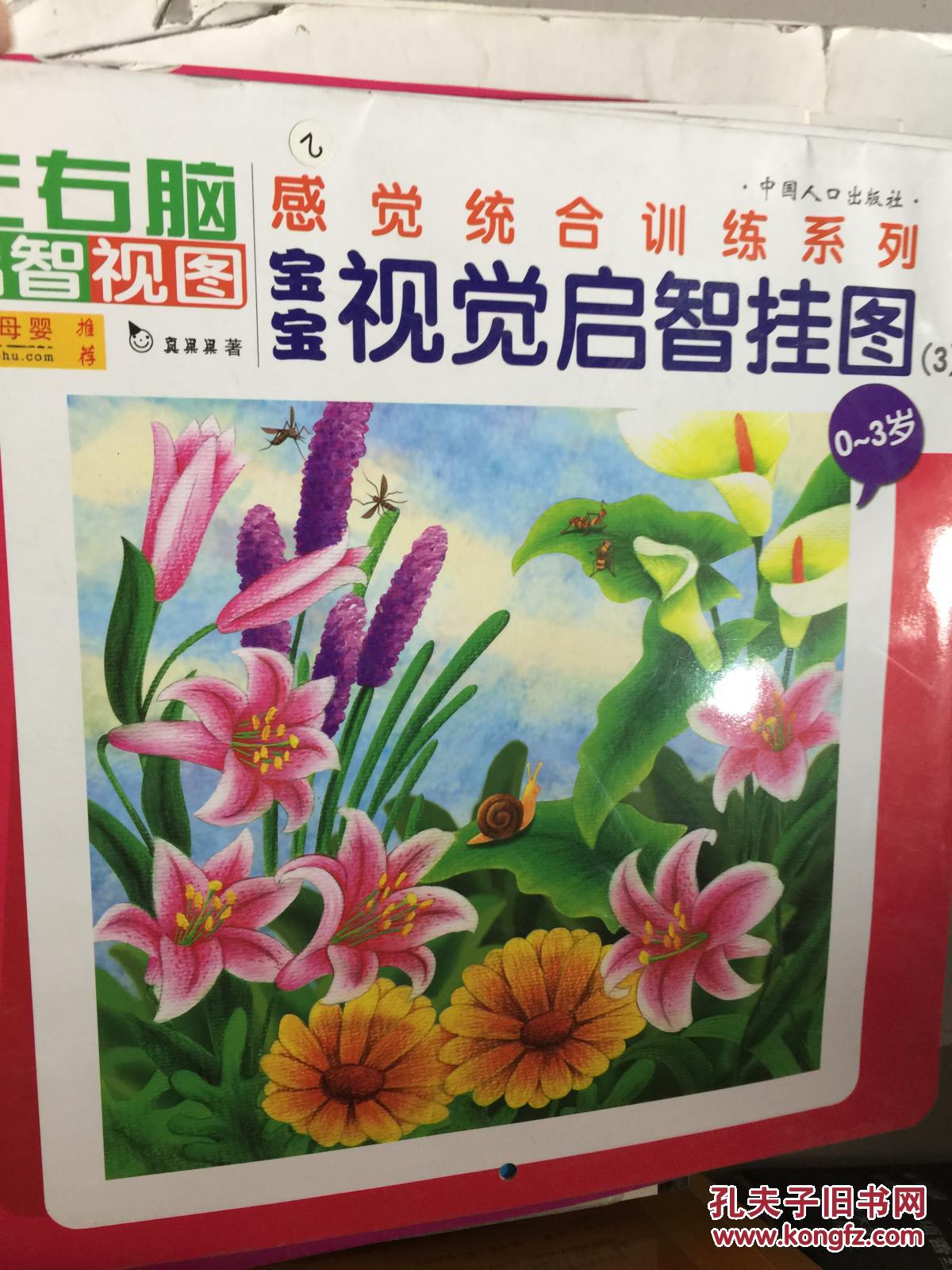 【图】感觉统合训练系列:宝宝视觉启智挂图(3