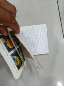 1986 年 吉林年画缩样 背面一半写有英语 不影