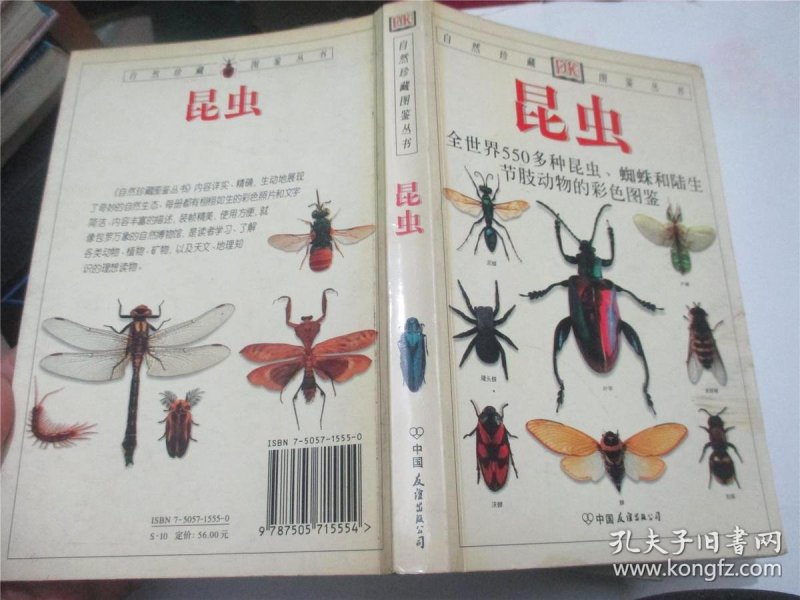 昆虫:全世界550多种昆虫,蜘蛛和陆生节肢动物的彩色图鉴