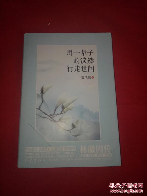 四季冬小提琴谱_天空之城小提琴谱(3)