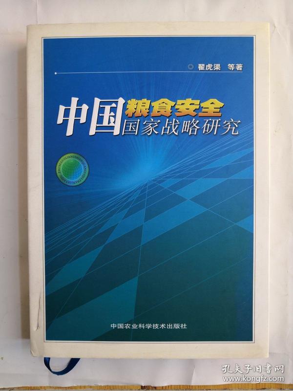 中国粮食安全国家战略研究