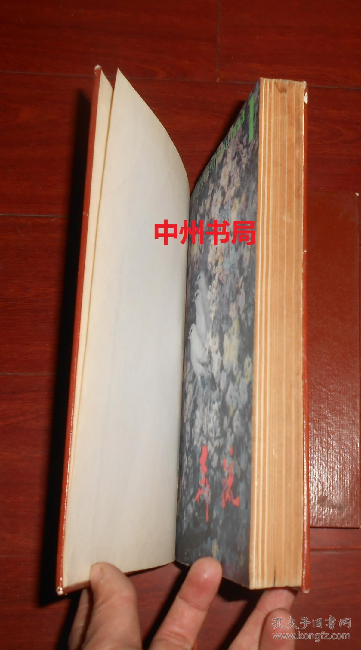 文学月刊:奔流 1983年合订本 1983年1-6期 7-12期 共2
