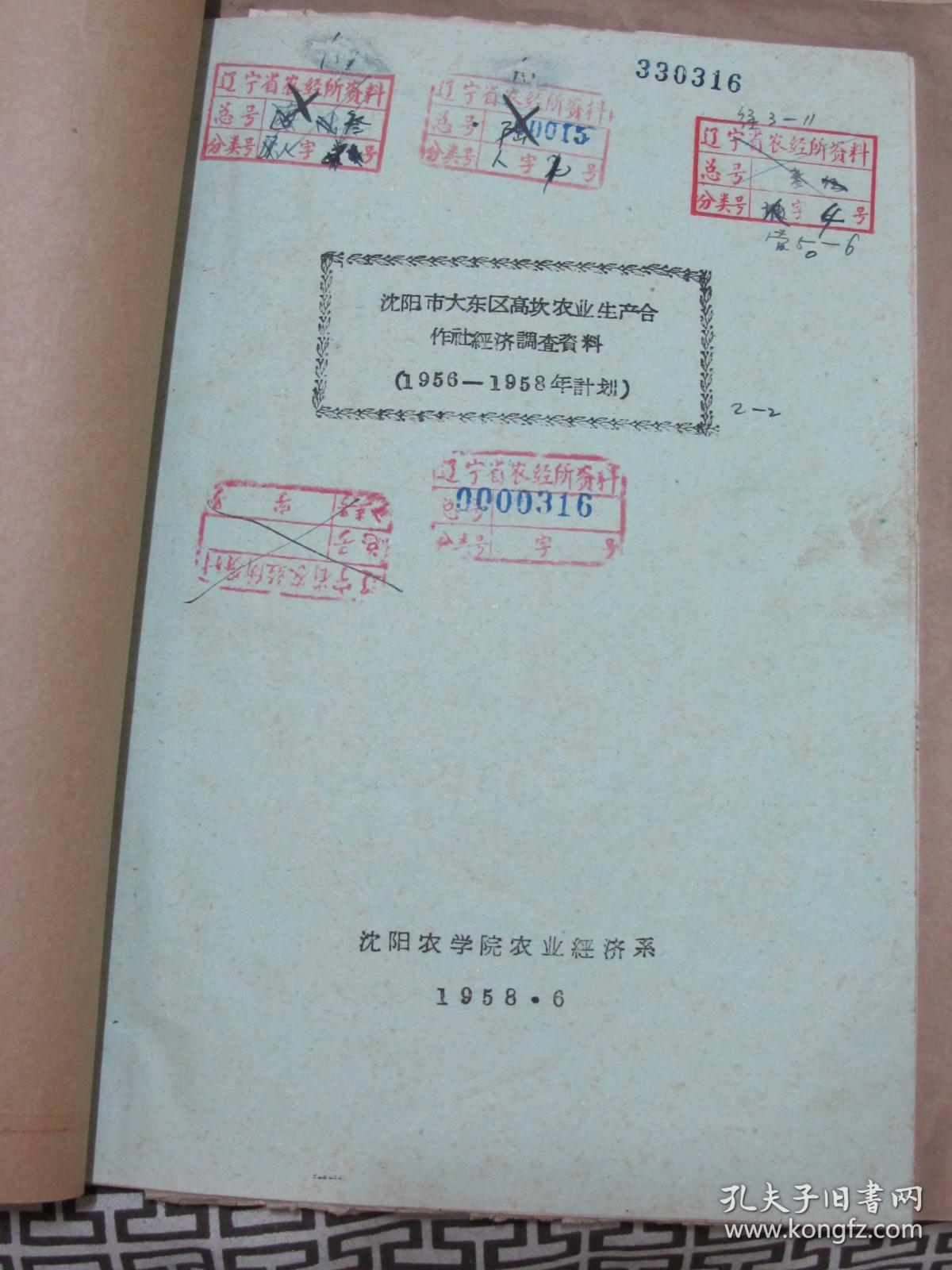 沈阳市大东区高坎农业生产合作社经济调查资料
