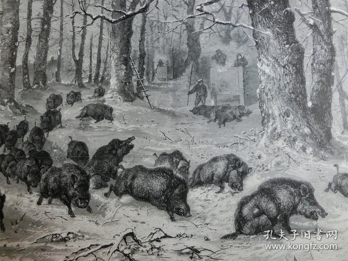 【现货 包邮】1879年木刻版画《野猪狩猎》(schwarzwildjagd) 尺寸约