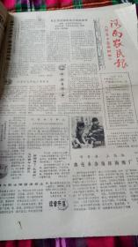 生日报   河南农民报   1986年4月3日共四版