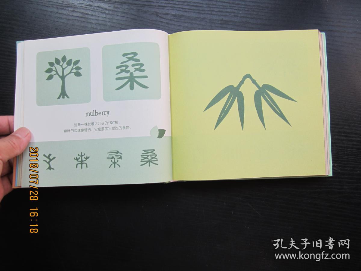 汉字是画出来的