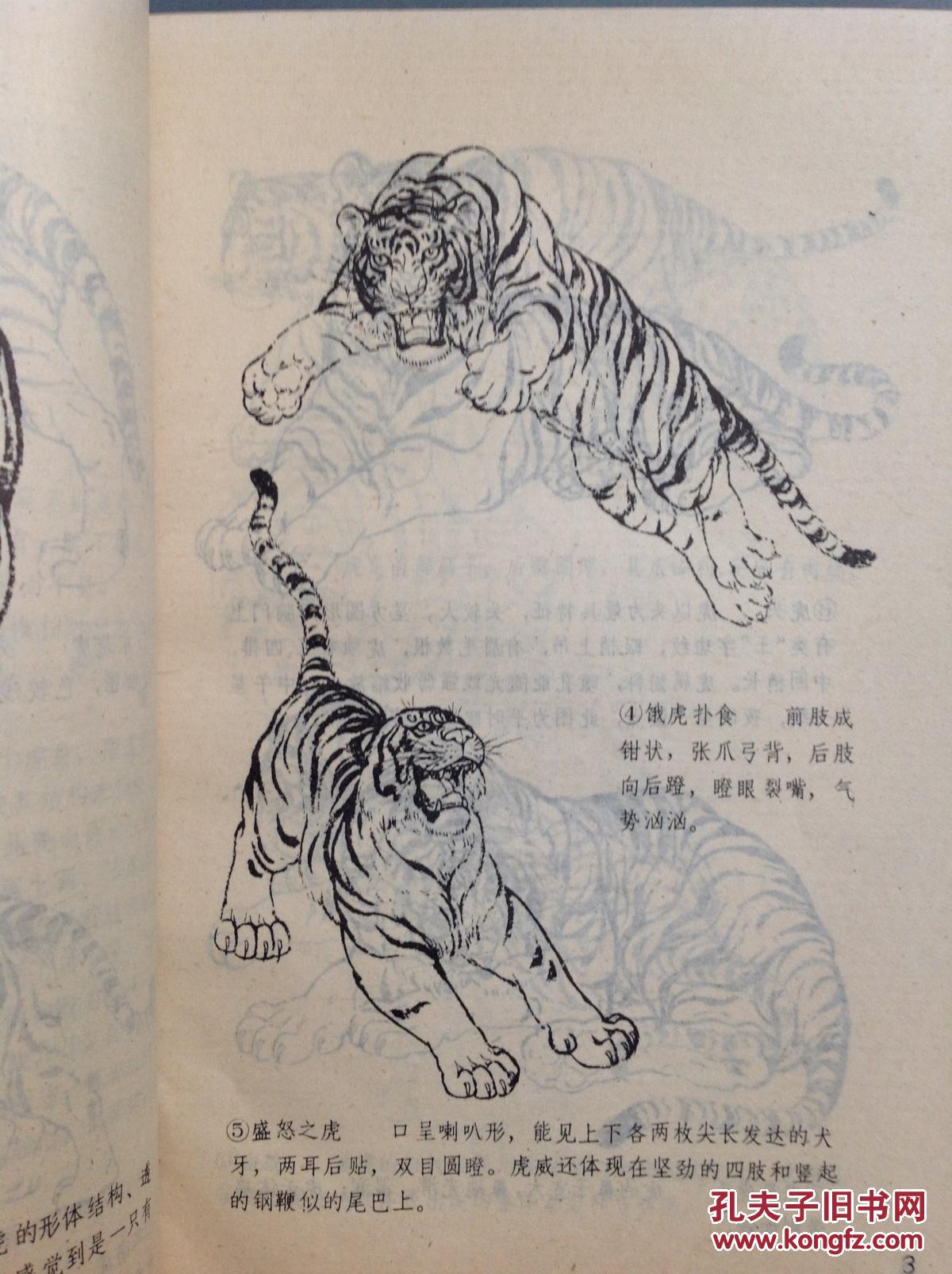 《画虎技法资料》实拍