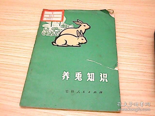 养兔知识