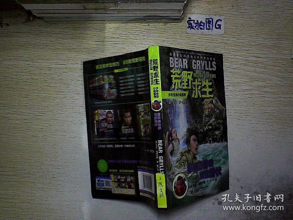 荒野求生少年生存小说系列:猎豹幽谷的双重潜伏