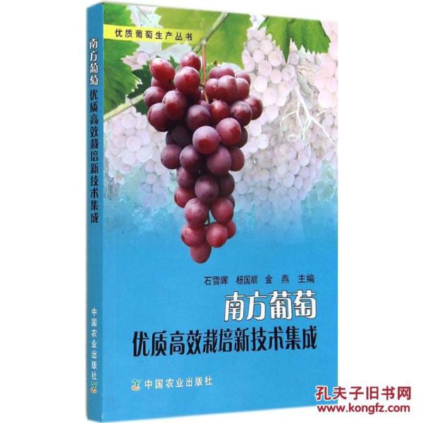 葡萄短剧全集免费，探索与享受的全新体验，免费畅享，葡萄短剧全集，探索与享受的全新体验