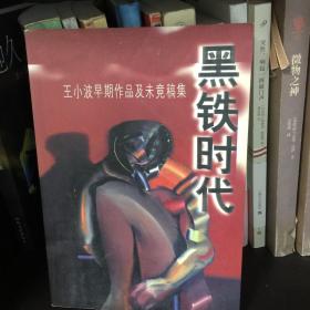 黑铁时代:王小波早期作品及未竟稿集