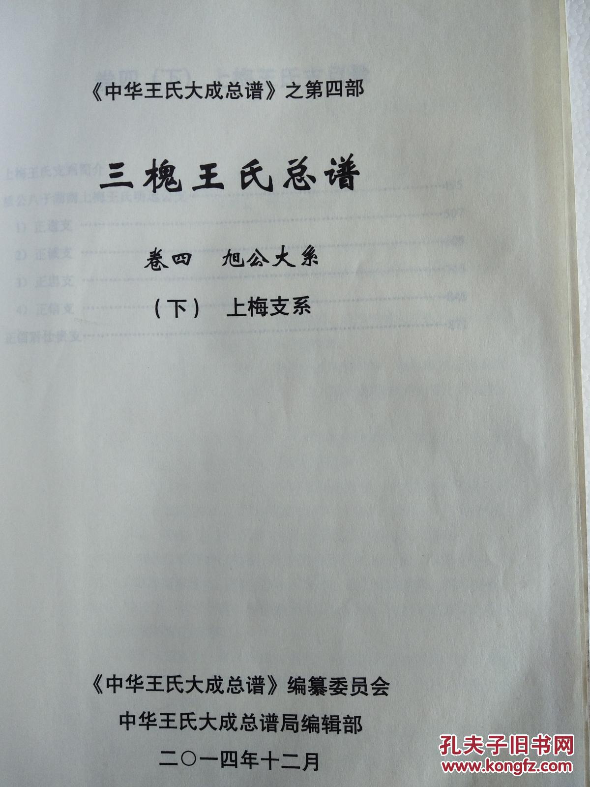 三槐王氏总谱 明远公上梅支 (中华王氏大成总谱 第四部第四卷下册) 硬