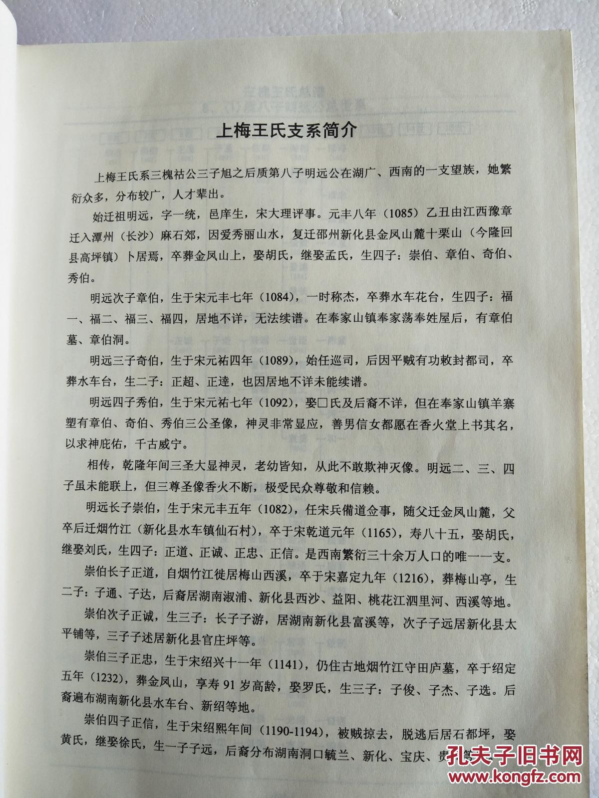 三槐王氏总谱 明远公上梅支 (中华王氏大成总谱 第四部第四卷下册) 硬