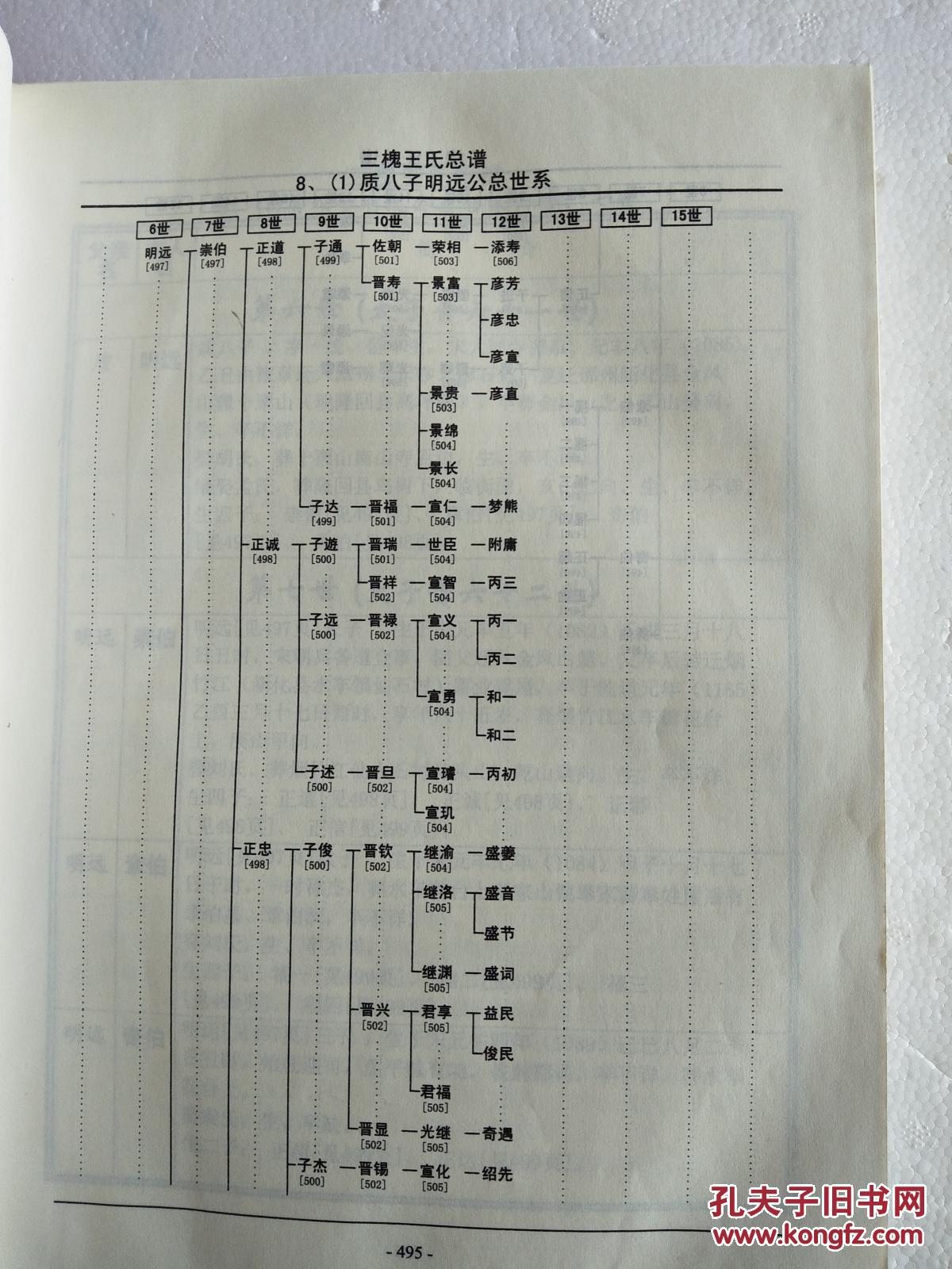 三槐王氏总谱 明远公上梅支 (中华王氏大成总谱 第四部第四卷下册) 硬