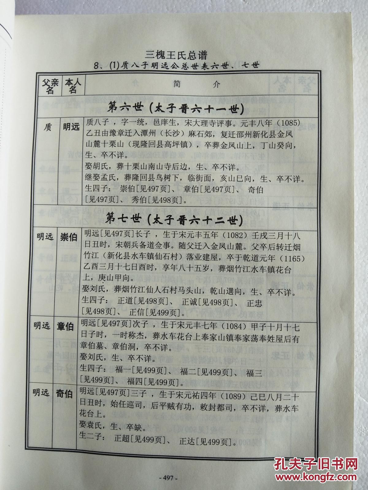 三槐王氏总谱 明远公上梅支 (中华王氏大成总谱 第四部第四卷下册) 硬