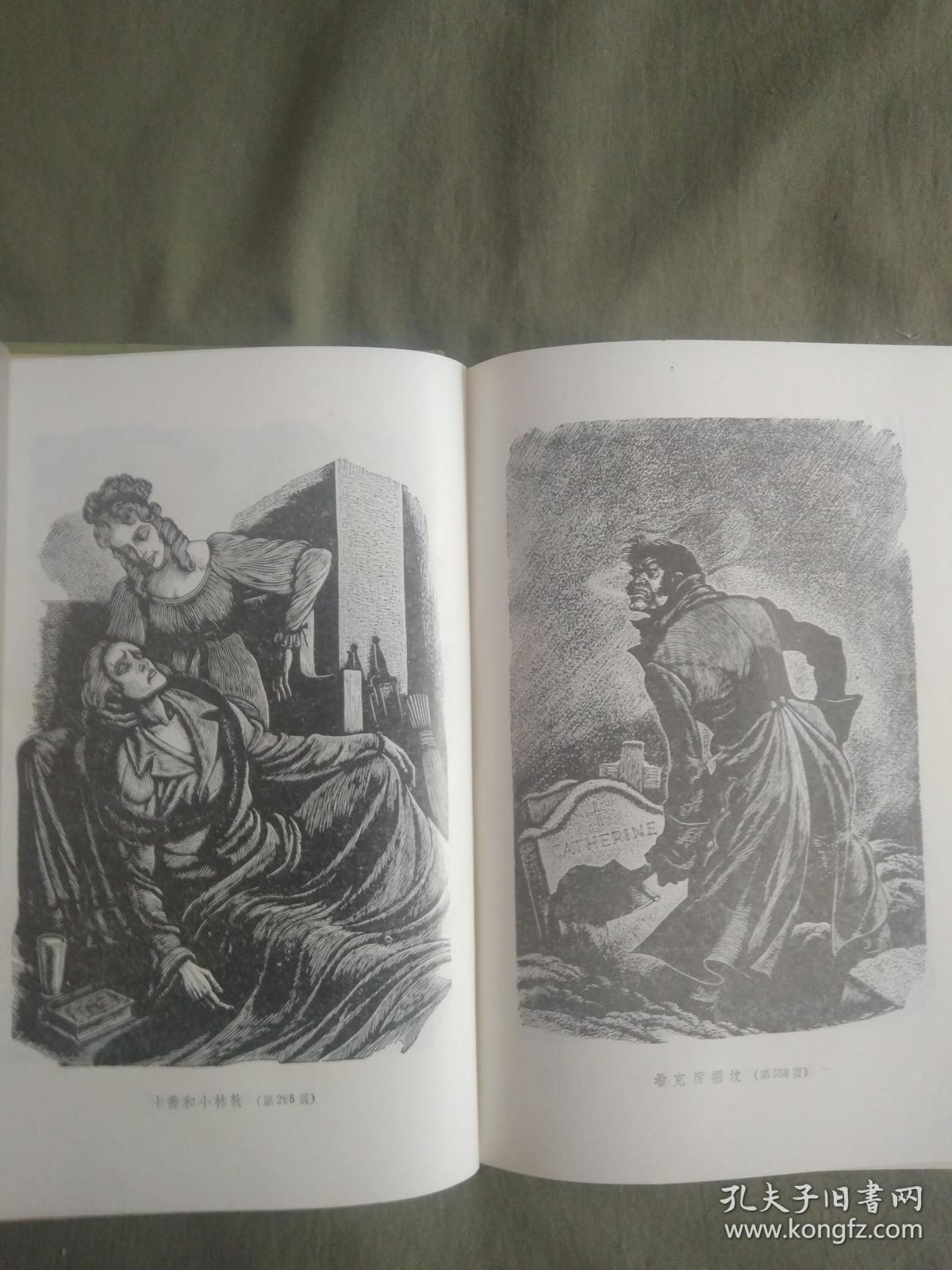 呼啸山庄:上海译文,精装插图本,1990版