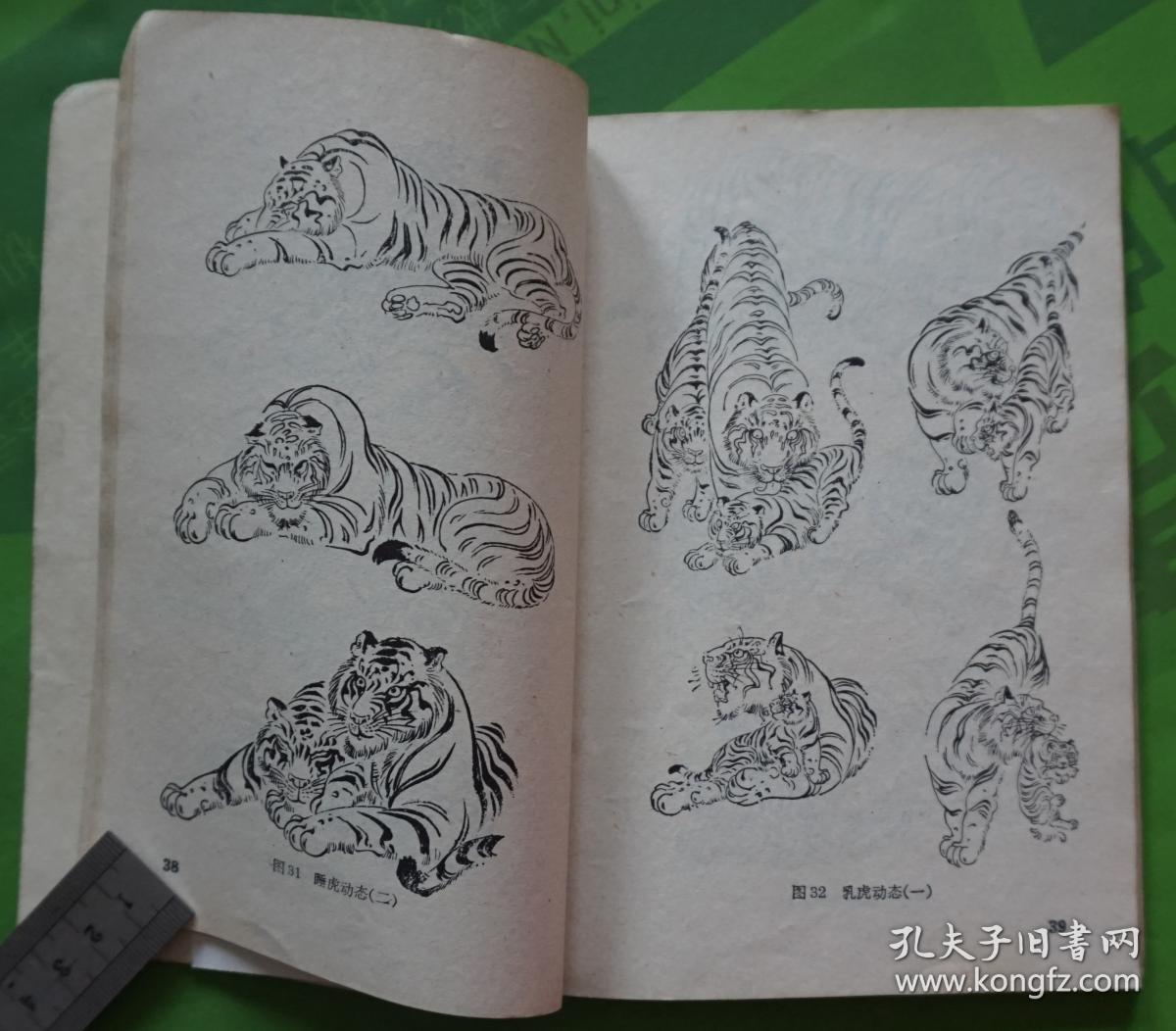 老虎画法人--任曼逸讲授画虎笔记 温鸿源 任善评编 1985年上海人民