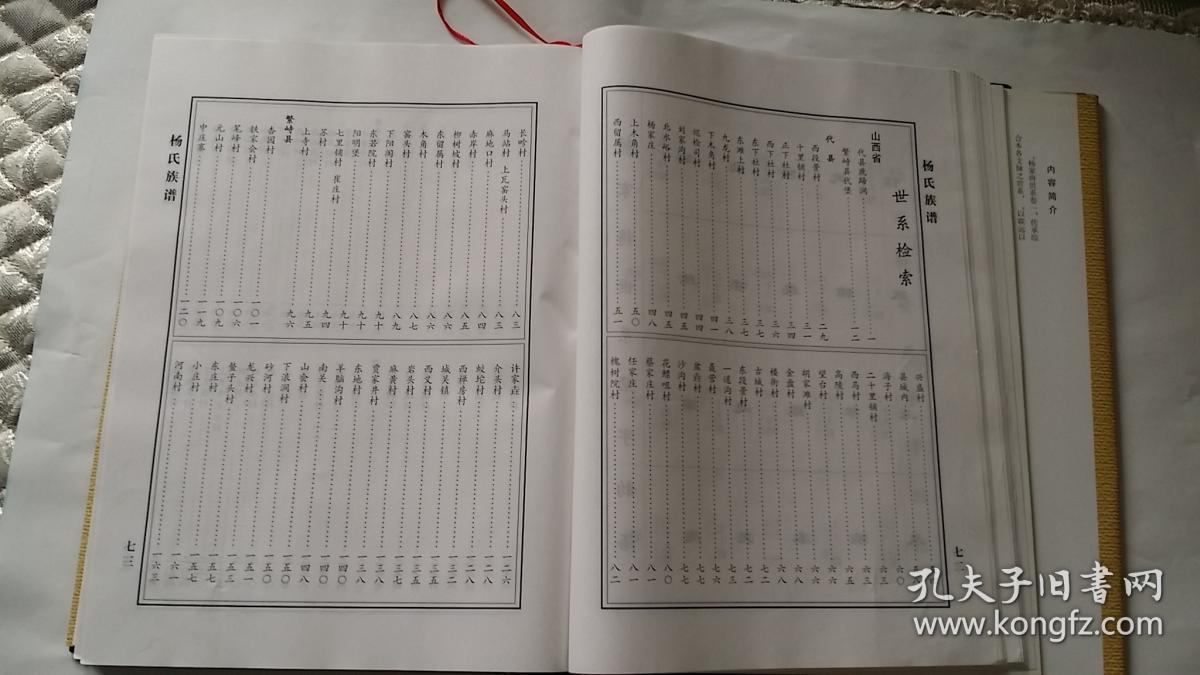 杨氏族谱 ( 山西代县杨忠武祠编 )