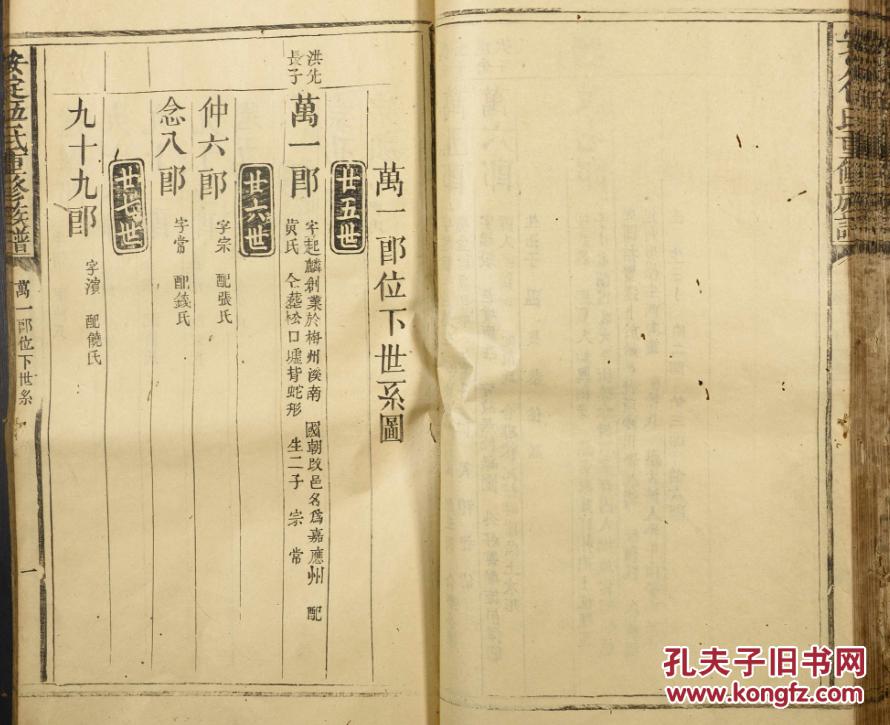 广东省官氏人口_广东省流动人口暂住证(2)