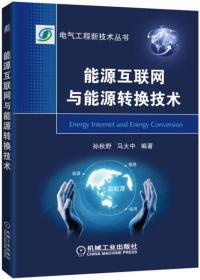 能源互联网与能源转换技术/电气工程新技术丛书