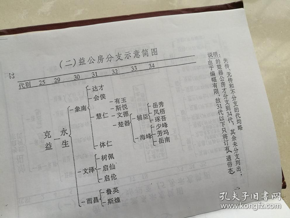 谯国郡 曹氏十一修族谱(益公房通俗本)大32开 精装本