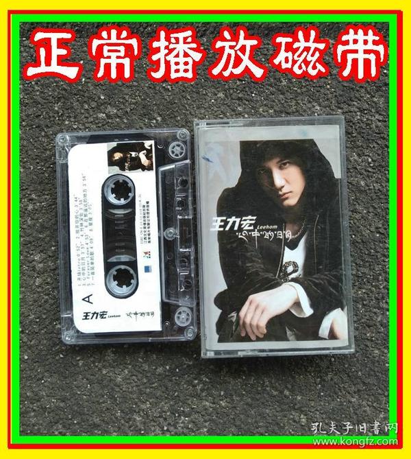 孔网搜索:王力宏