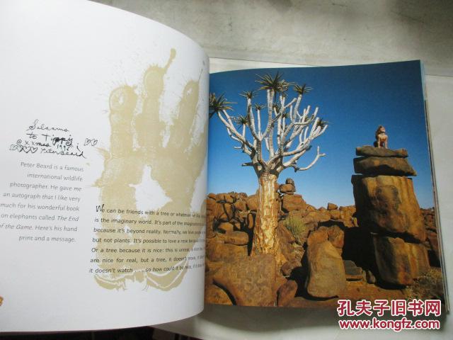 Tippi My book of Africa(英文原版书)