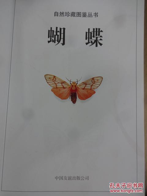 蝴蝶