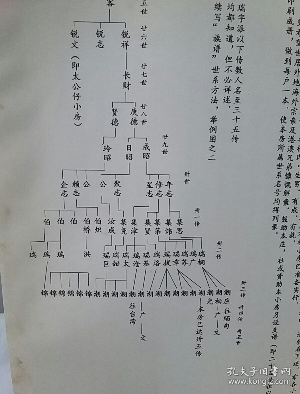 毕氏族谱(广东省广州市花都区)