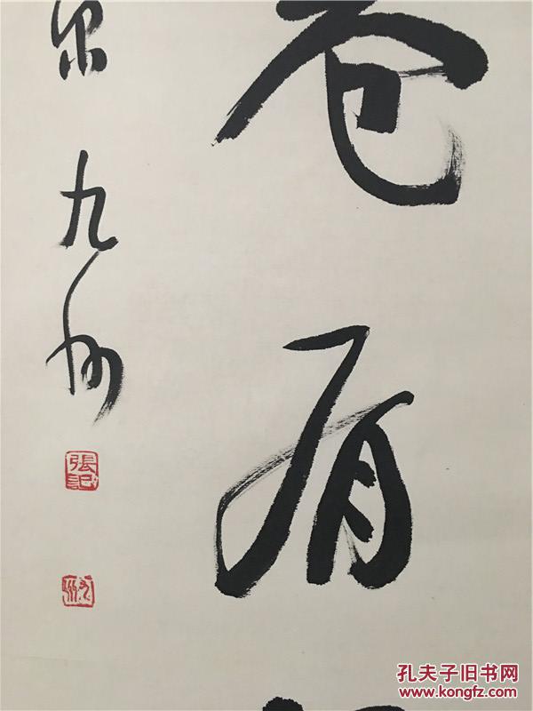 开卷有益 著名书法家张九州作品