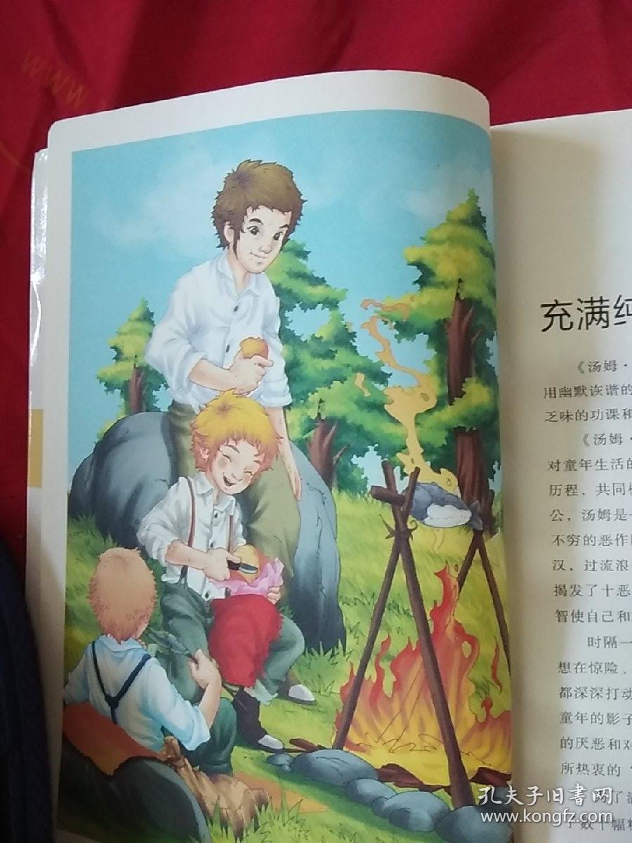 汤姆 索亚历险记