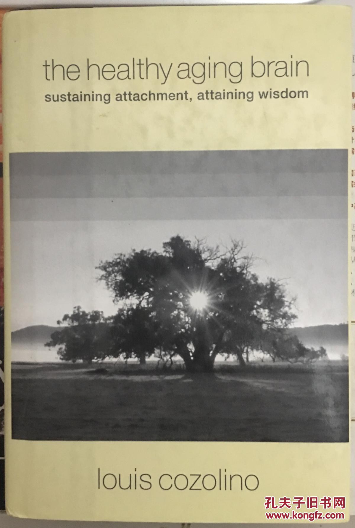 the healthy aging brain: sustaining attachment, attaining wisdom