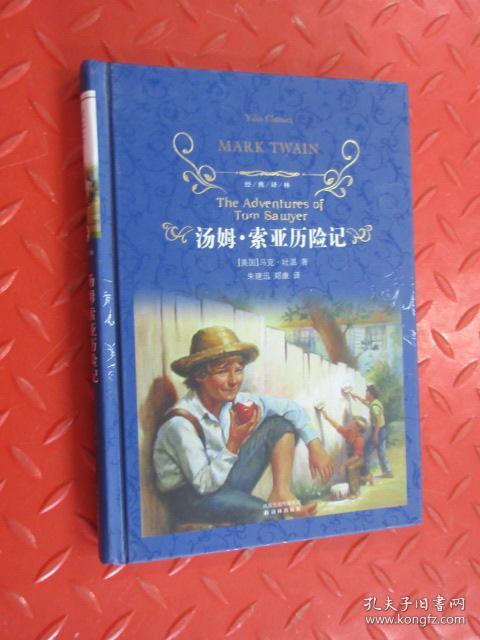 汤姆·索亚历险记