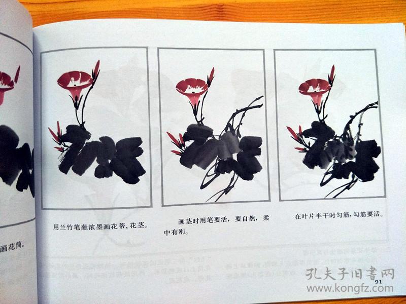 (—) 花鸟集学国画一花鸟集 中国画技法普及教材 跟徐湛学国画水墨画